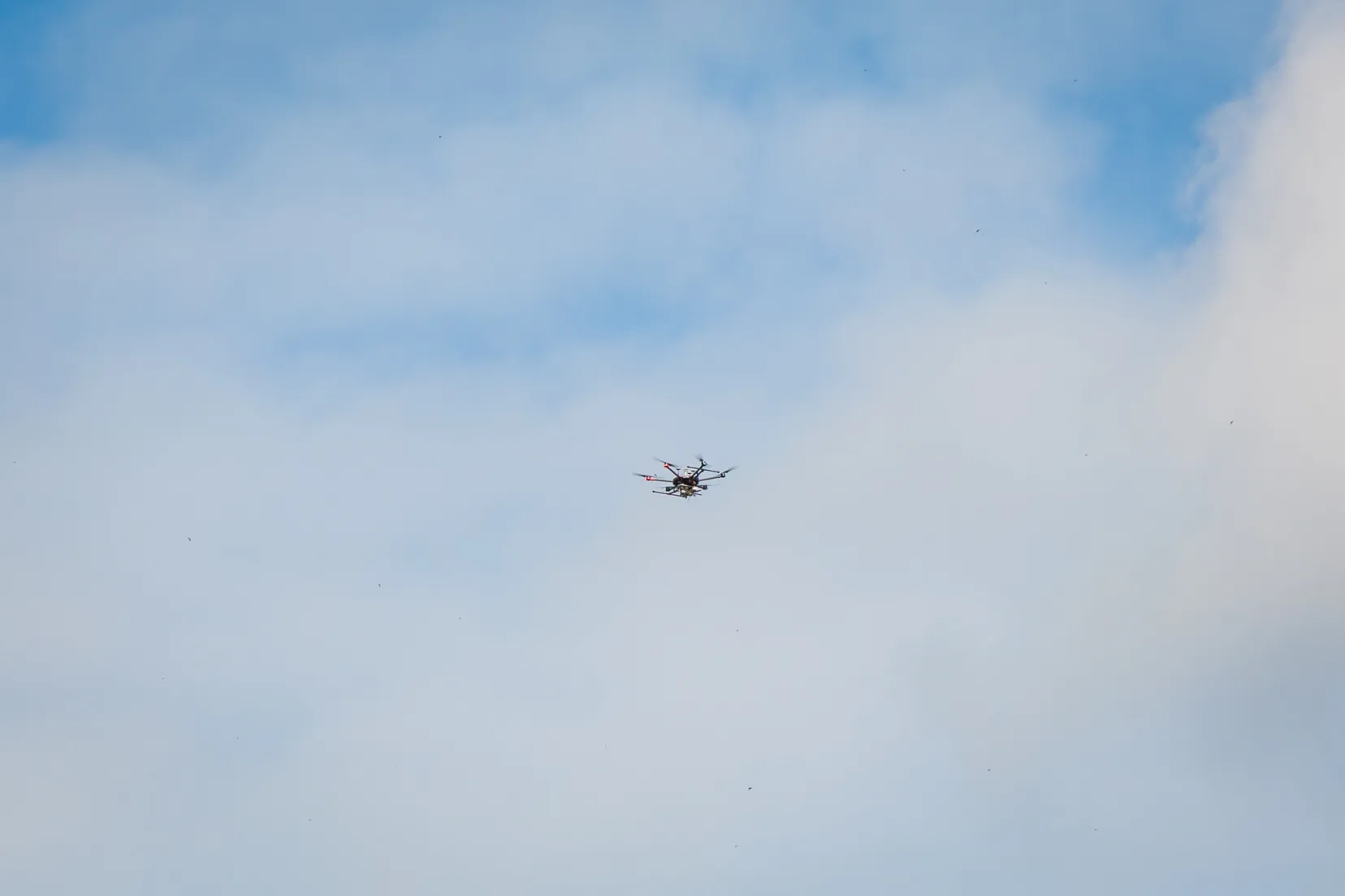 drone